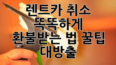 🚗 렌트카 취소? 똑똑하게 환불받는 법! 꿀팁 대방출 🍯